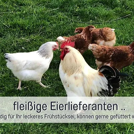 Feriehus 